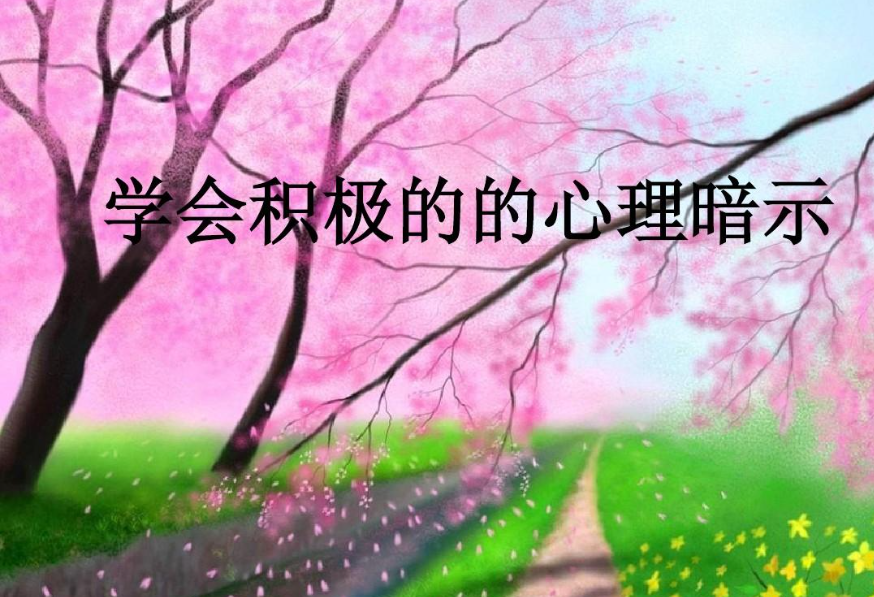 d4.png